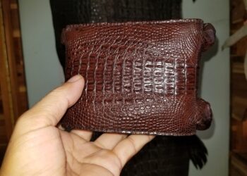 Bóp Da Cá Sấu Nguyên Con