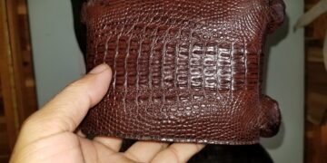Bóp Da Cá Sấu Nguyên Con