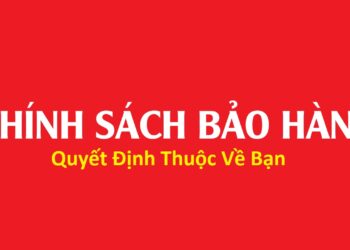 Chinh Sach Bao Hanh Cua Da Ca Sau Sai Gon 1