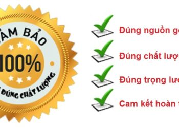 Chinh Sach Chung Da Ca Sau Sai Gon