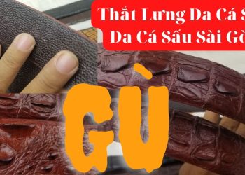 Thắt Lưng Da Cá Sấu