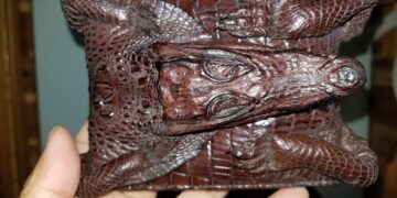 Ví Da Cá Sấu Nguyên Con