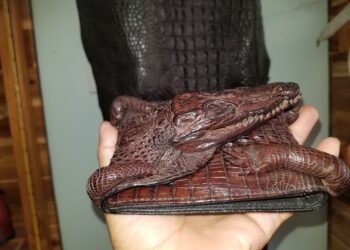 Ví Da Cá Sấu Nguyên Con Bóp Da Cá Sấu Nguyên Con Da Cá Sấu Sài Gòn