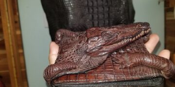 Ví Da Cá Sấu Nguyên Con Bóp Da Cá Sấu Nguyên Con Da Cá Sấu Sài Gòn